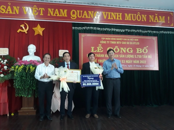 Công ty Cao su Ea H’Leo khai thác sản lượng về đích trước 53 ngày